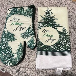 Dollar Tree Christmas oven mitt & dish towel set